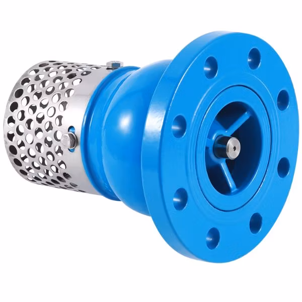 Foot Valves