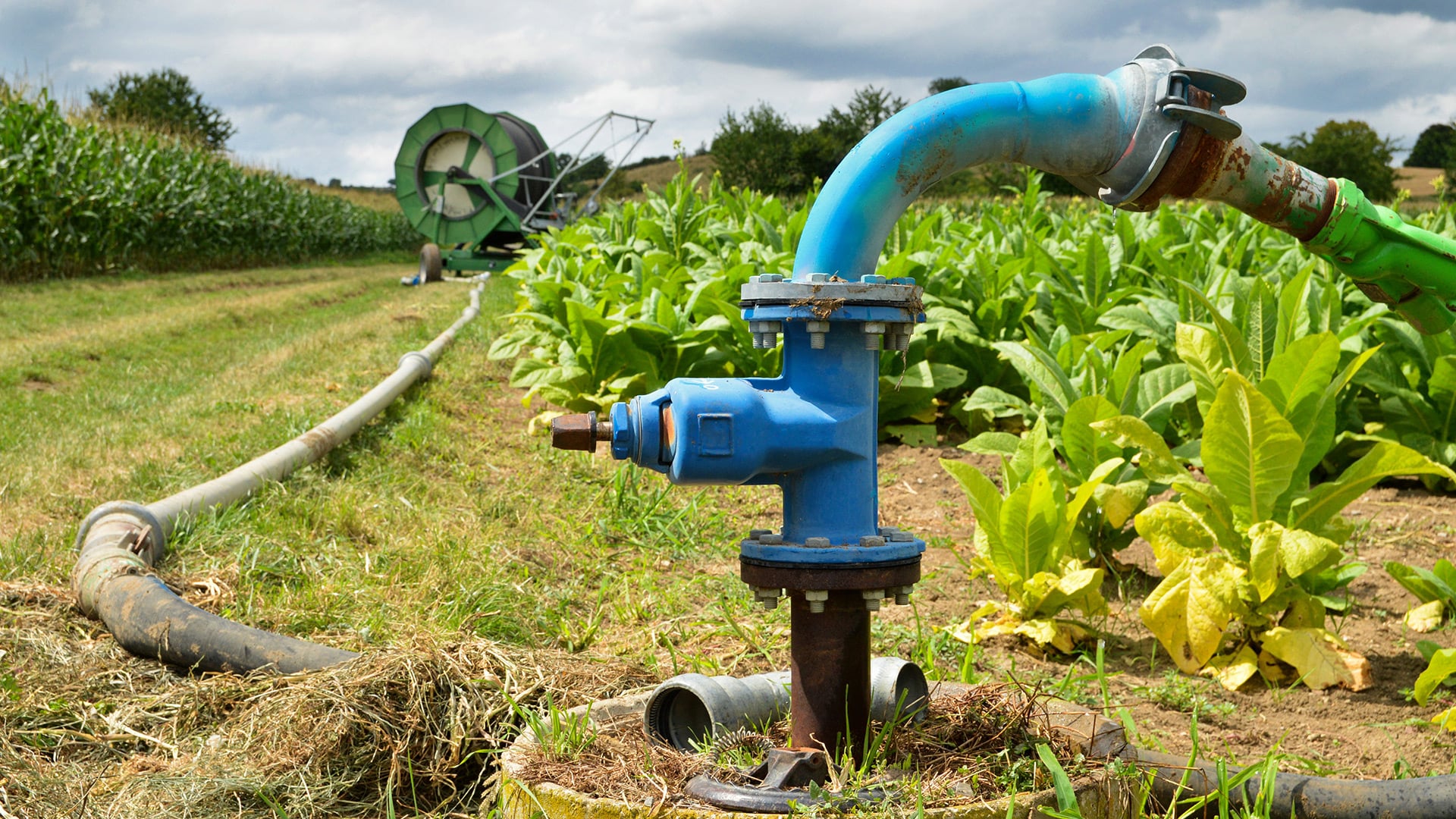 Irrigation Pumps